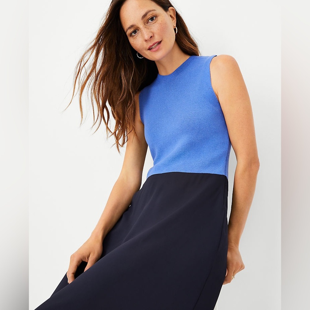 Ann Taylor Mixed Media Flare Dress